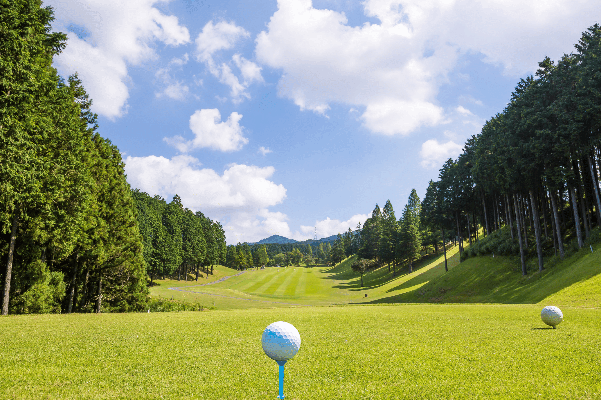 Cuantos Campos de Golf Hay en Marbella